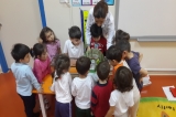 GÜNEŞLİ OKUL ÖNCESİ BALIKLAR GRUBU İLE 4 EKİM HAYVANLARI KORUMA GÜNÜ KUTLUYOR