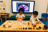 İncek Mercan Sınıfı Fastrackids Dersinde Bitkilerin Dünyasına Açıldı