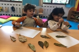 İncek Okyanus Koleji Çiçekler Sınıfı Sanat Dersinde