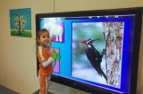 Mavişehir Balıklar Grubu Fastrackids Dersinde “Biyoloji” Konusunu İşliyor