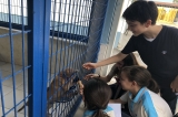 Nilüfer Okyanus Ortaokulu  Hayvan Bakımevinde!