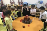 Yıldızlar Grubu Yanardağ  Deneyi