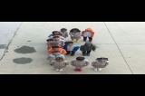 1-D E sesi