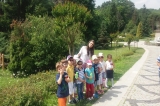 Halkalı Okyanus Koleji Okul Öncesi Öğrencileri Atatürk Arboretumunu Gezdiler
