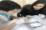 7. SINIFLARIN GÖZ DİSEKSİYONU