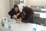 8. Sınıf Öğrencilerinin Proje Çalışmaları