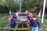AVCILAR AĞAÇLAR GRUBU OKYANUS PARKTA