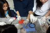 7. Sınıflar Koyun Gözünü İnceledi