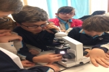 İncek Okyanus Koleji Ortaokul Kademesi 5/A Sınıfı Öğrencileri Mikroskobik Canlı Avında