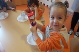 Kemerburgaz Okyanus Koleji Çiçekler Grubu Fen-Doğa Dersinde