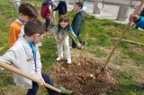 3. Sınıflarımız Sosyal Sorumluluk Projelerini Gerçekleştiriyor