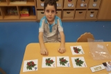 Mimaroba Okyanus Koleji Okul Öncesi Yıldızlar Grubu Türkçe Etkinliğinde