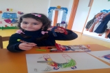 Okul Öncesi Fen ve Doğa Dersi