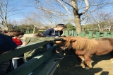 Zoo