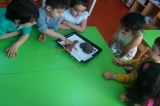 Güneşli Okyanus Koleji Okul Öncesi Yunuslar Grubu Deniz Canlılarını İnceliyor