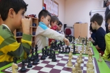 Avcılar Denizyıldızı Grubu Satranç Etkinliğinde