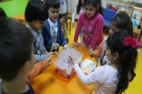 Avcılar İnciler Grubu Fen ve Doğa Etkinliğinde