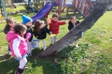 AVCILAR KIRMIZI GRUBU OKYANUS PARK’A KEŞFE ÇIKTILAR