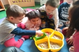 Eryaman Okyanus Koleji Okul Öncesi Kademesi Çiçekler Sınıfı Fen Doğa Etkinliğinde