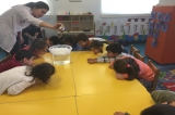 Gezegenler Grubu Fen ve Doğa Etkinliğinde
