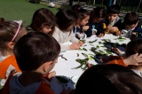 Mavişehir Okyanus Koleji Okul Öncesi Kuşlar Grubu Bütünleştirilmiş Türkçe,Fen ve Matematik Etkinliğinde