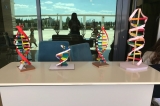 Okyanus İncek Şubemizde DNA Günü Kutlaması
