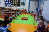 Güneşli Okyanus Koleji Okulöncesi ‘’B’’ Ve ‘’C’’ Grubu Öğrencileri C Vitamini Partisinde
