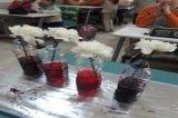 Canlıları Sınıflandırıyoruz