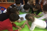 Güneşli Okyanus Koleji Okul Öncesi Yıldızlar Grubu Projelerini Anlatıyor