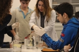 Hücre zarında madde alışverişi ve ağız içi epitel hücrelerinin mikroskopta incelenmesi