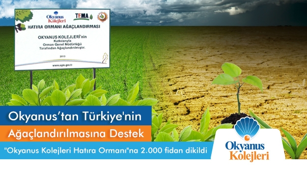 Okyanus’tan Türkiye'nin Ağaçlandırılmasına Destek
