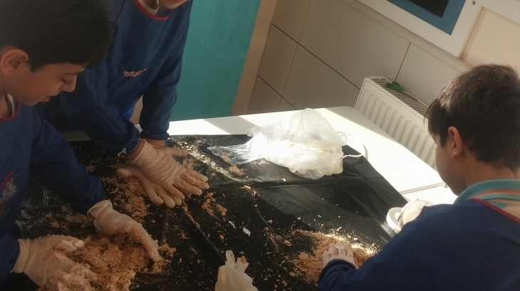 4/C Sınıfı Fen Bilimleri Dersinde