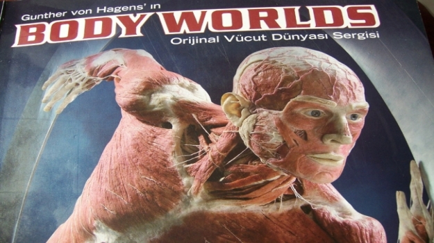 Avcılar 11 ve 12. Sınıflar Body Worlds Sergisinde