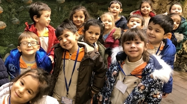 Bahçeşehir Okul Öncesi B Grubu Akvaryum Gezisinde