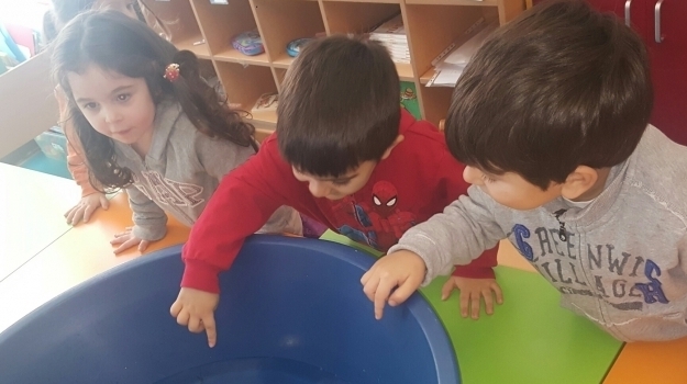 Beykent Okyanus Koleji Okul Öncesi Çiçekler Grubu Öğrencileri Fen ve Doğa Etkinliğinde