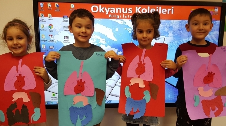 Beykent Okyanus Koleji Okul Öncesi Güneş  Grubu Öğrencileri Fen ve Matematik Dersinde