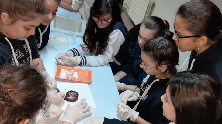 Beylikdüzü Okyanus Koleji 6.Sınıf Öğrencilerimiz Fen Bilimleri Dersinde