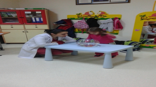 Beylikdüzü Okyanus Okul Öncesi Rüzgar Grubu Hayvanları Tanıyor