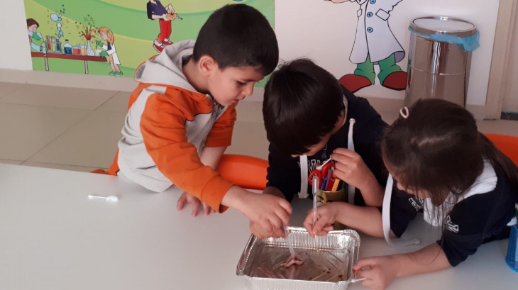 Eryaman Okyanus Koleji Okul Öncesi Kademesi A ve B Grupları Mad Science Dersindeler