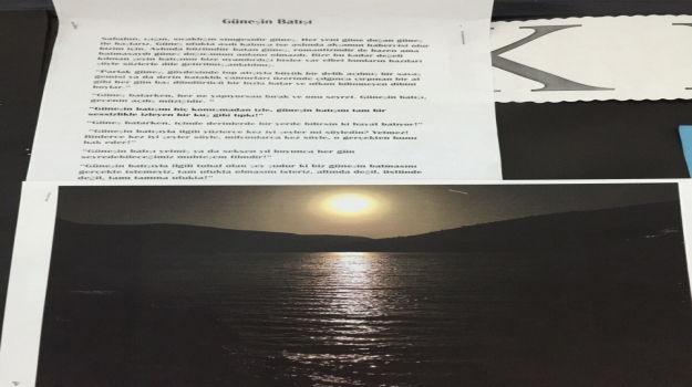 Avcılar Okyanus Anadolu Lisesi "Kitap Okuma ve Afiş Etkinliği"