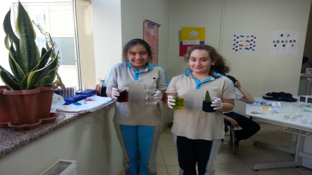 Okyanuslular, Proje Yarışmaları'nda Yeni Başarılara Hazır
