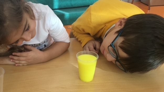 Özel Konyaaltı Okyanus Koleji Okul Öncesi Güneş Grubunun 'Renk' Deneyi