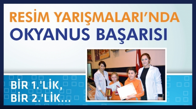 Resimde İlçe Dereceleri