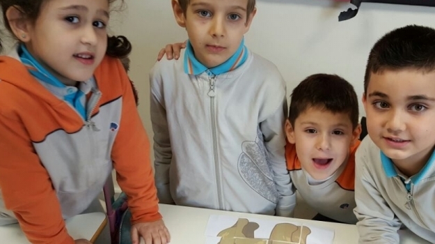 Sancaktepe Okyanus İlkokulda Animal Puzzle Etkinliği