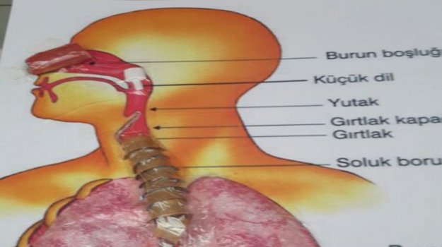 Üstün Zekalılar İlkokulu'nda Solunum Modeli Etkinliği