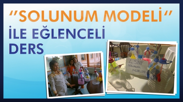 4. Sınıflar'ın Solunum Modeli
