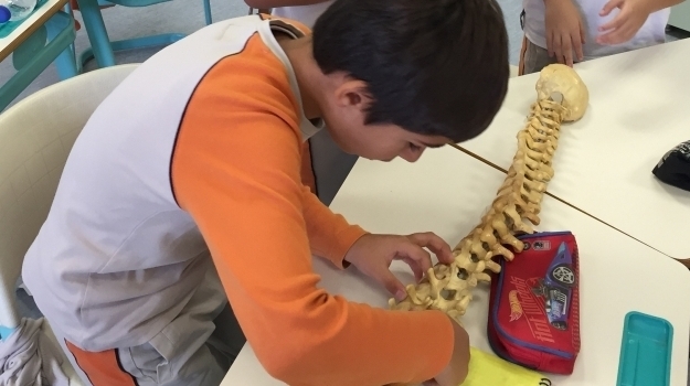 4.Sınıflar Vücudumuzdaki Sistemleri Öğreniyor