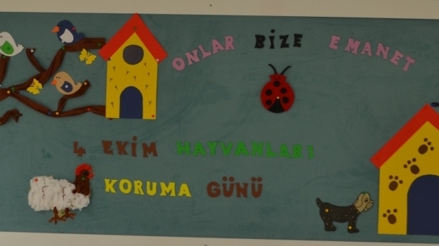 Antalya Okyanusta 4 Ekim Hayvanları Koruma Günü Kutlandı