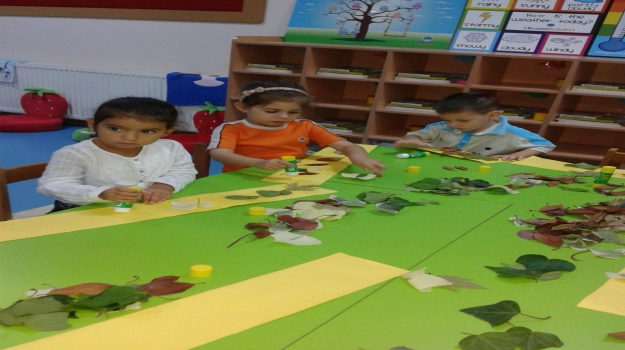 Avcılar Okyanus Okul Öncesi Ağaçlar Grubu Eğleniyor