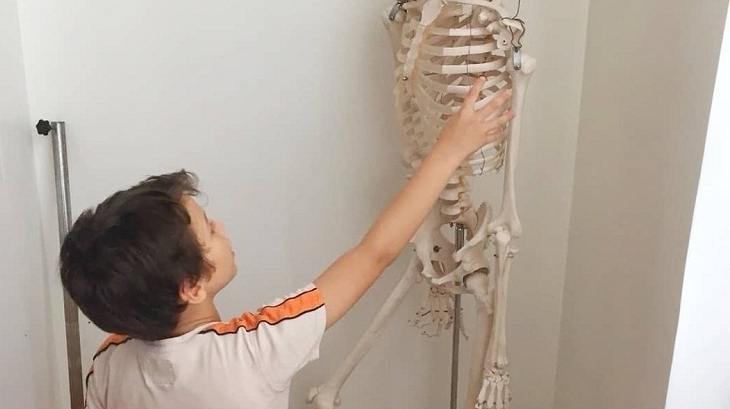 Bahçeşehir Okyanus Koleji Üstün Zekâlılar Ve Yetenekliler İlkokulu 4-D Sınıfı İskelet Modelini İncelediler.
